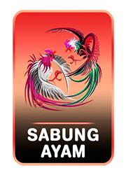 sabung ayam